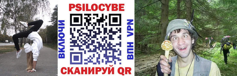 Псилоцибиновые грибы Cubensis Емва